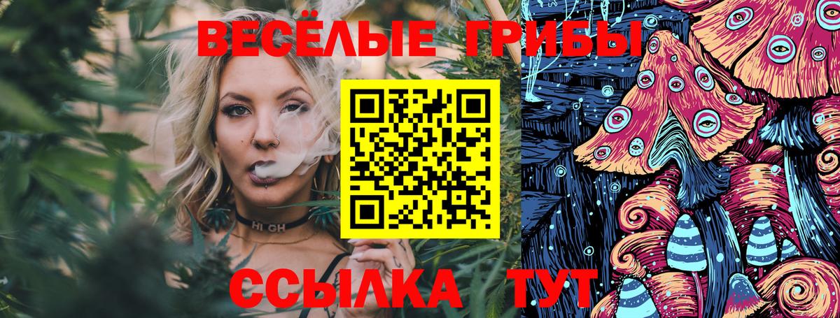 Галлюциногенные грибы прущие грибы Моздок