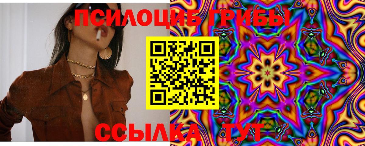 Псилоцибиновые грибы Psilocybe  Вход с VPN  наркошоп  Моздок 